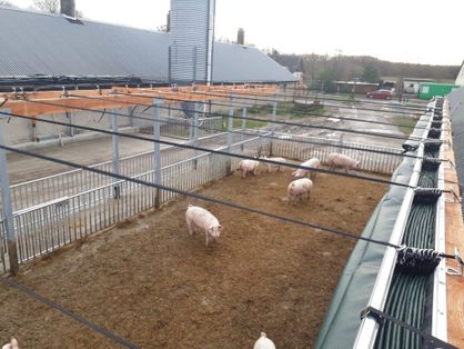 Komponenten für Stalleinrichtungen und Stalltechnik