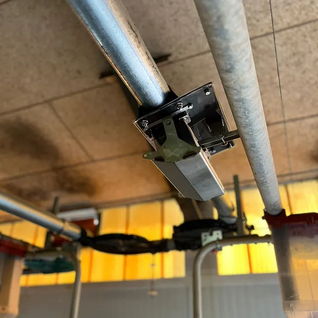 Strohventil im Abferkelstall